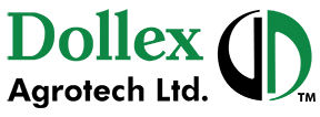 Dollex Agrotech SME IPO GMP Updates